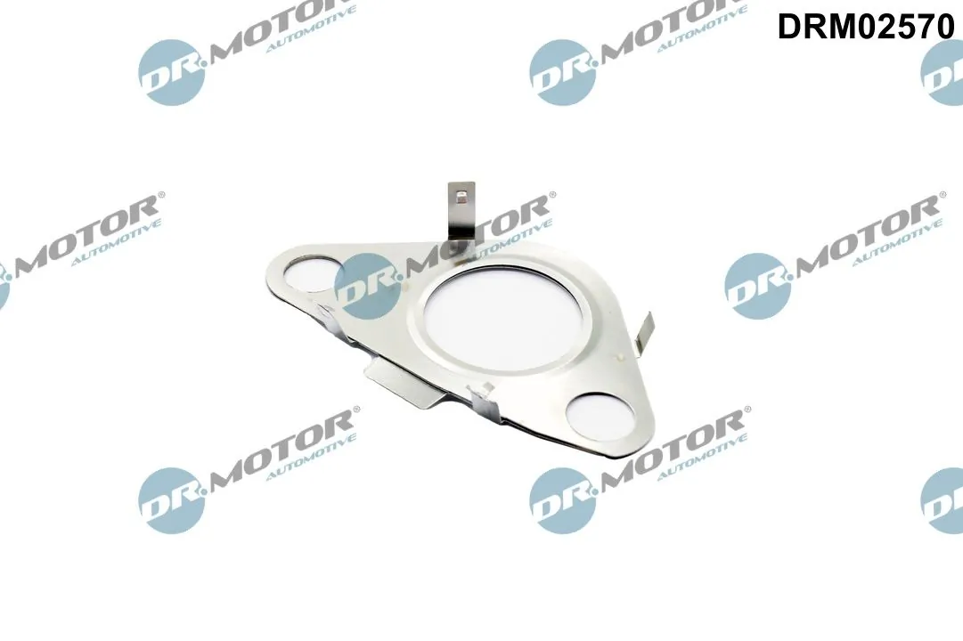 Gasket, EGR valve pipe